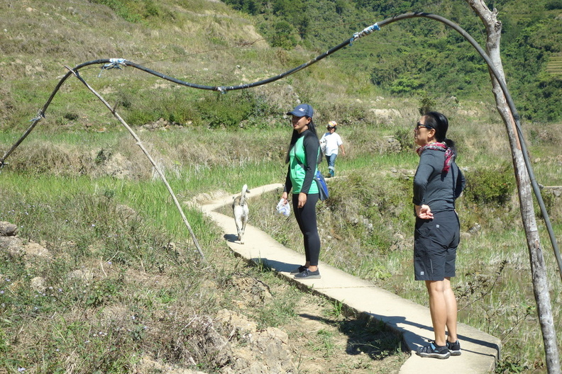 A random Piwigo travel image