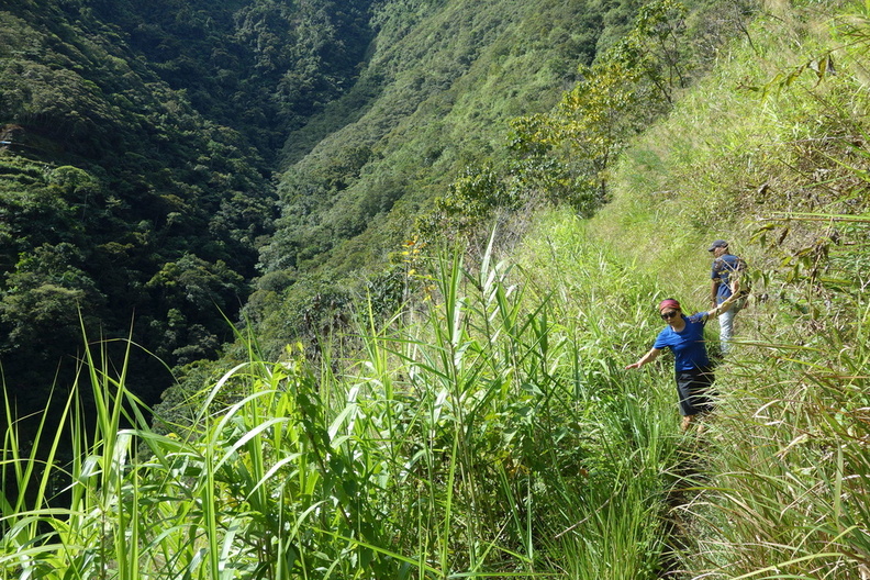 A random Piwigo travel image