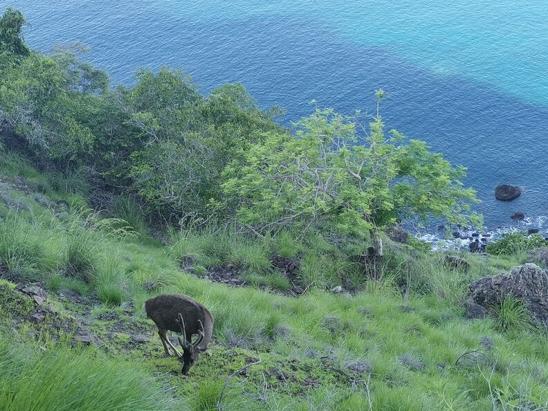 A random Piwigo travel image