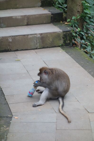 A random Piwigo travel image