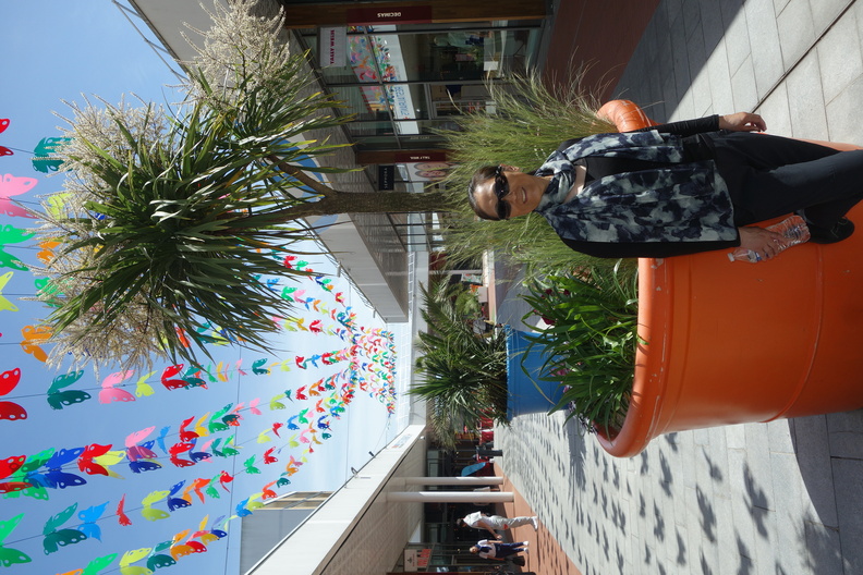 A random Piwigo travel image