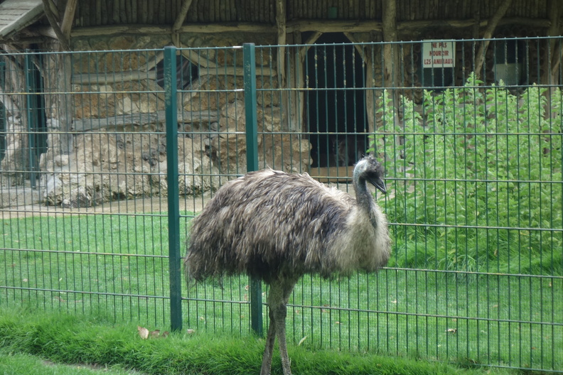 A random Piwigo travel image