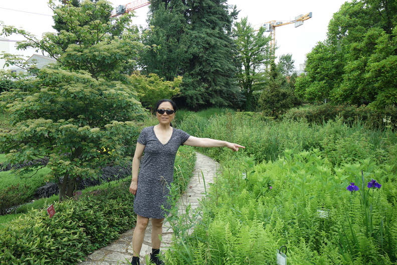 A random Piwigo travel image