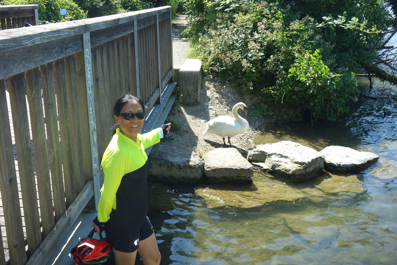 A random Piwigo travel image