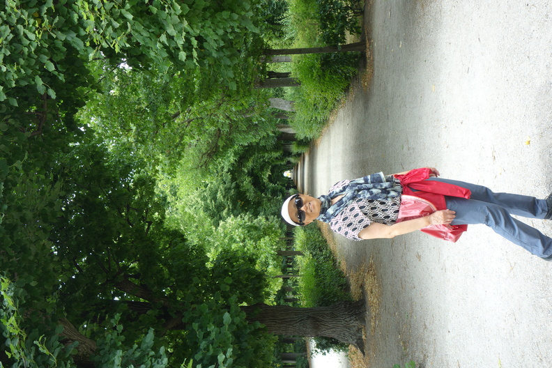 A random Piwigo travel image