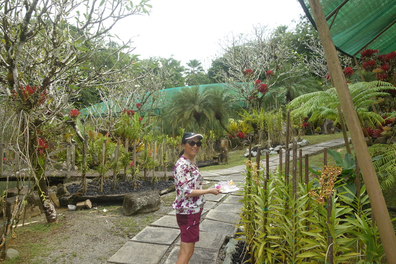 A random Piwigo travel image