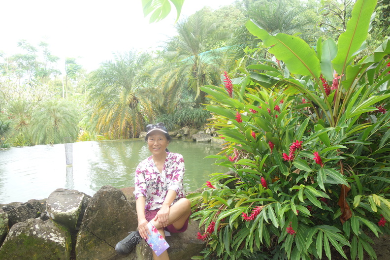 A random Piwigo travel image