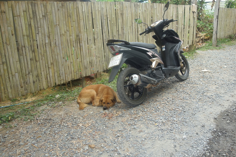 A random Piwigo travel image