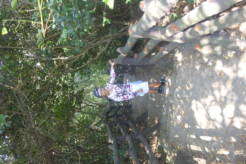 A random Piwigo travel image