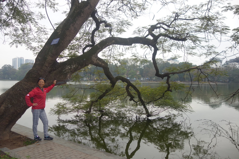 A random Piwigo travel image