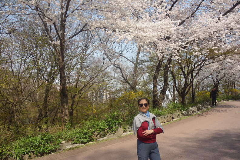 A random Piwigo travel image