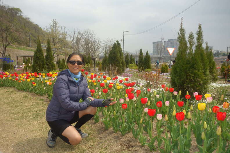 A random Piwigo travel image