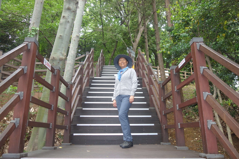 A random Piwigo travel image