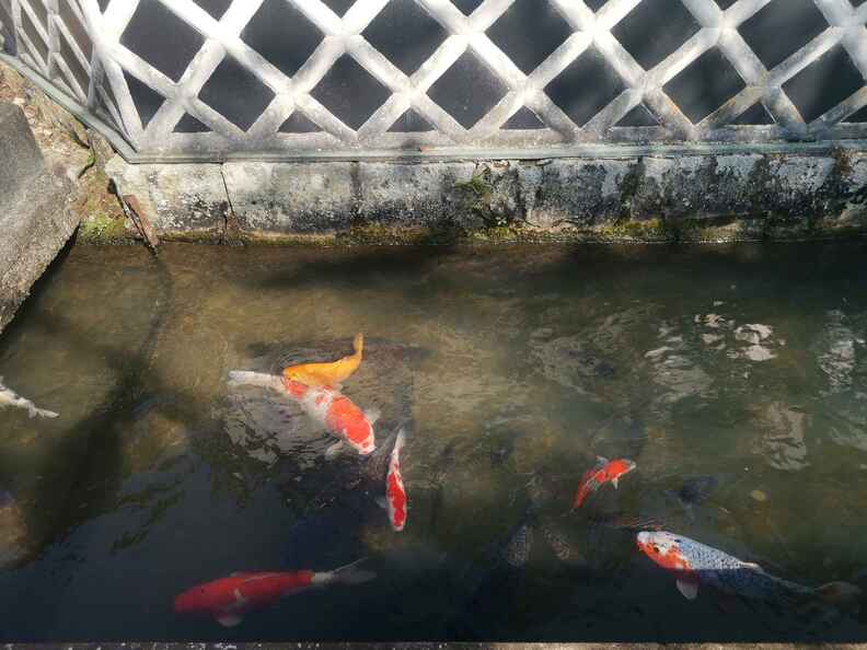 A random Piwigo travel image