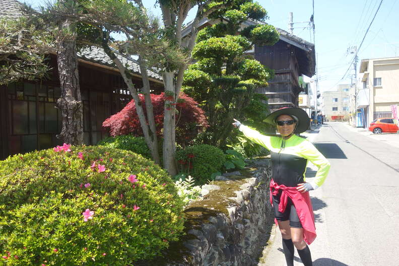 A random Piwigo travel image