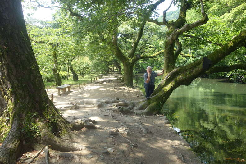 A random Piwigo travel image