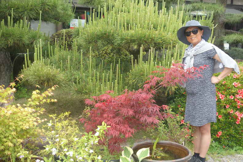 A random Piwigo travel image