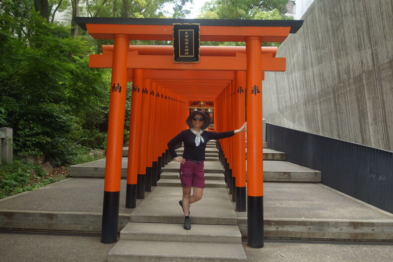 A random Piwigo travel image