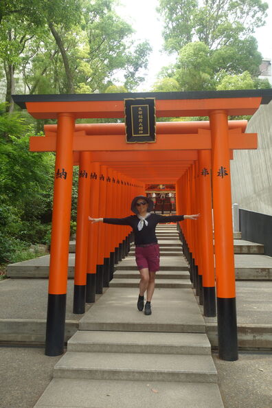 A random Piwigo travel image