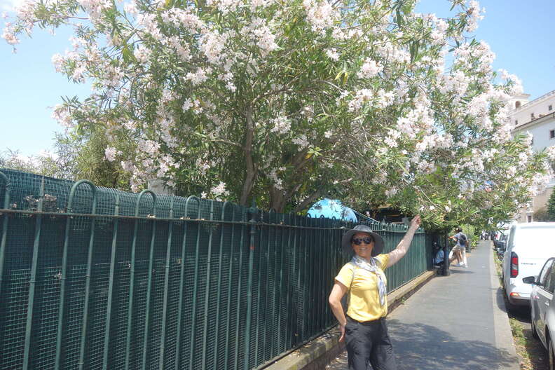 A random Piwigo travel image