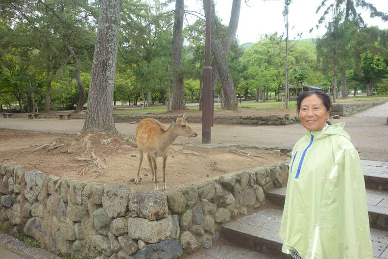 A random Piwigo travel image
