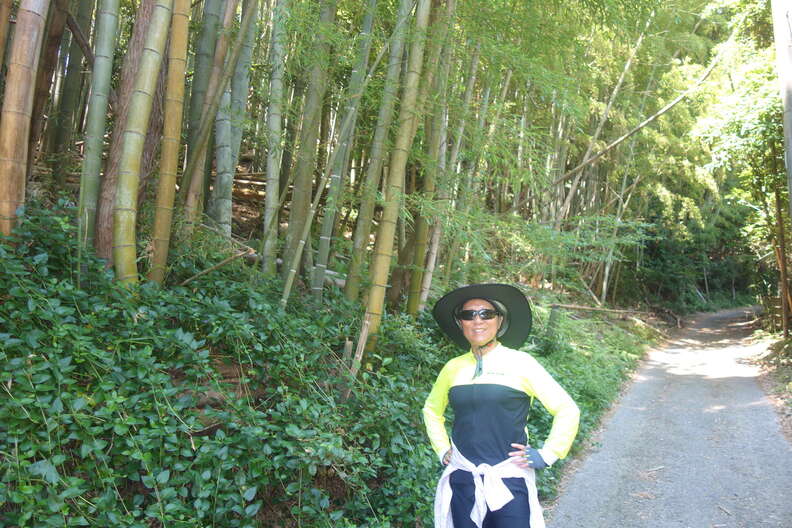 A random Piwigo travel image