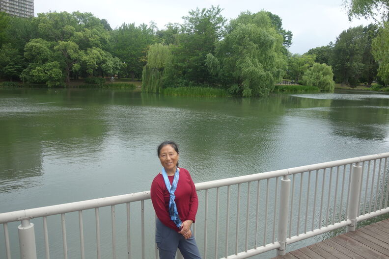 A random Piwigo travel image