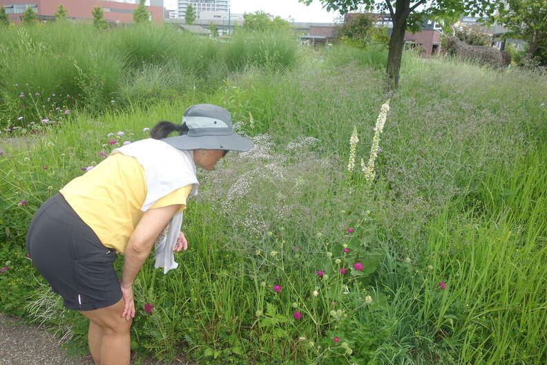 A random Piwigo travel image