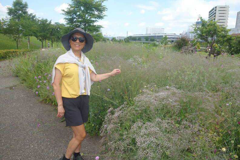 A random Piwigo travel image