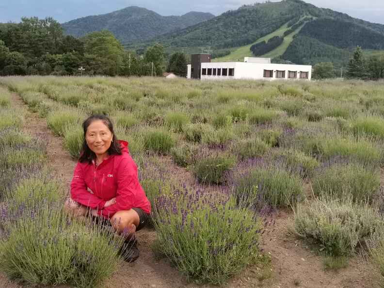 A random Piwigo travel image