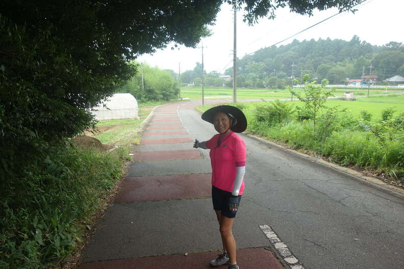 A random Piwigo travel image