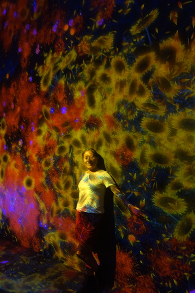 A random Piwigo travel image