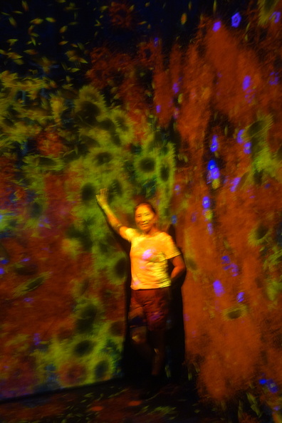 A random Piwigo travel image