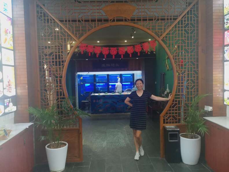 A random Piwigo travel image