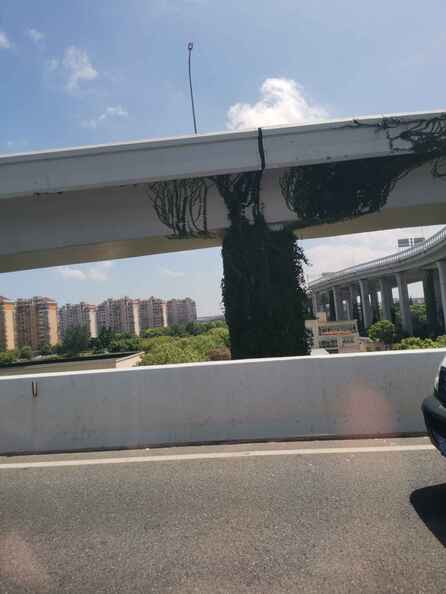 A random Piwigo travel image