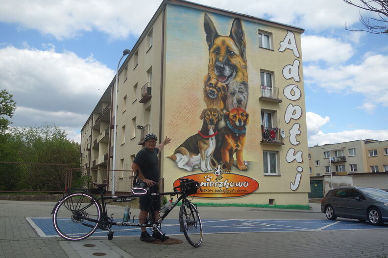 A random Piwigo travel image